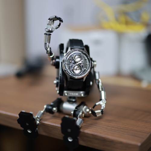 TS2501BR TWIN LENS LITE